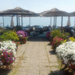 Ψαροταβέρνα Σκιαθάς, Αγιόκαμπος, 01